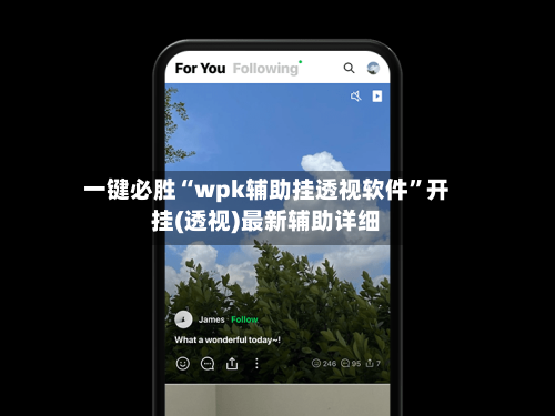 一键必胜“wpk辅助挂透视软件”开挂(透视)最新辅助详细-第3张图片