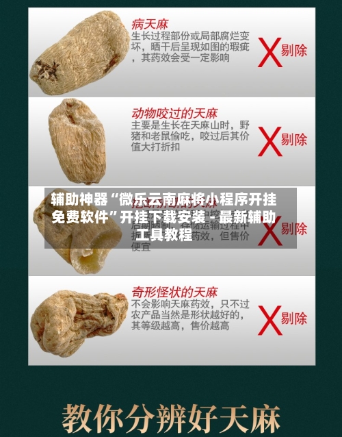 辅助神器“微乐云南麻将小程序开挂免费软件	”开挂下载安装 - 最新辅助工具教程-第2张图片