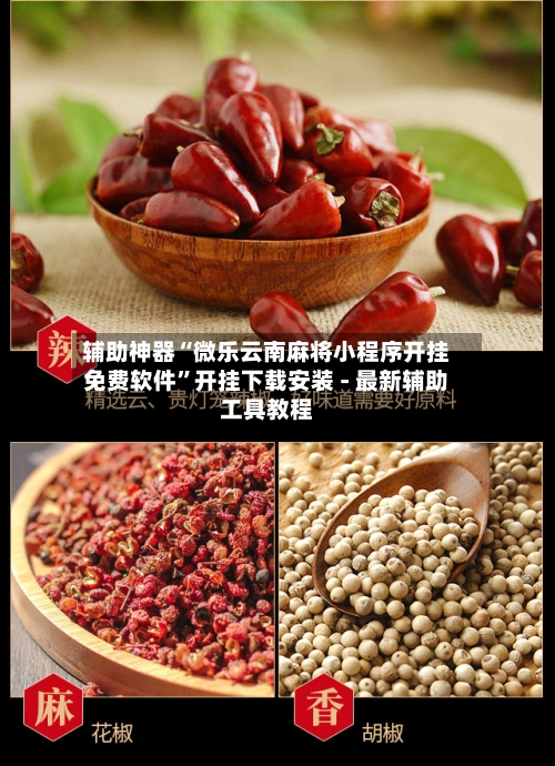 辅助神器“微乐云南麻将小程序开挂免费软件”开挂下载安装 - 最新辅助工具教程-第3张图片
