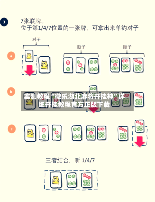 实测教程“微乐湖北麻将开挂神”详细开挂教程官方正版下载-第3张图片