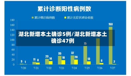 湖北新增本土确诊5例/湖北新增本土确诊47例-第2张图片