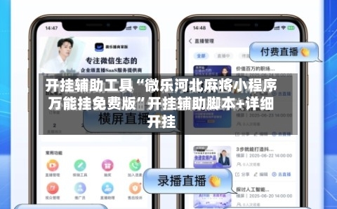 开挂辅助工具“微乐河北麻将小程序万能挂免费版”开挂辅助脚本+详细开挂-第3张图片