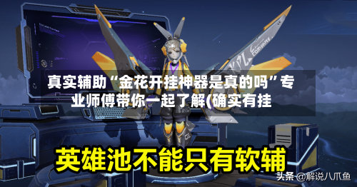 真实辅助“金花开挂神器是真的吗”专业师傅带你一起了解(确实有挂-第2张图片
