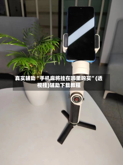 真实辅助“手机麻将挂在哪里购买”(透视挂)辅助下载教程-第1张图片