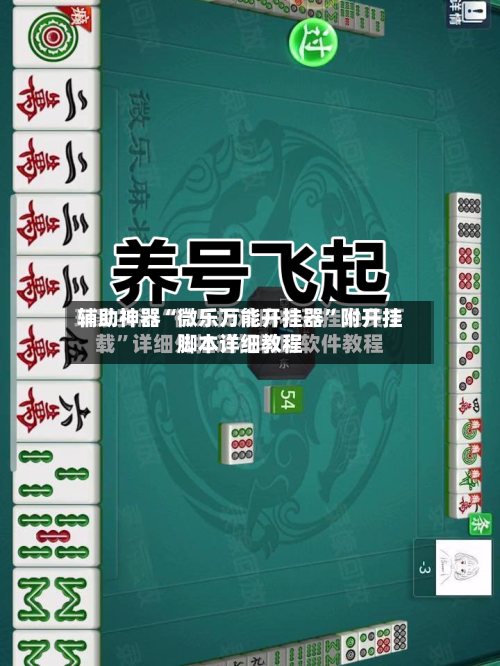 辅助神器“微乐万能开挂器”附开挂脚本详细教程-第2张图片