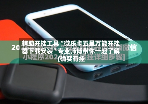 辅助开挂工具“微乐卡五星万能开挂器下载安装	”专业师傅带你一起了解(确实有挂-第2张图片