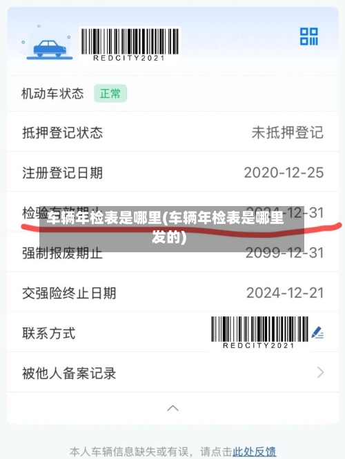 车辆年检表是哪里(车辆年检表是哪里发的)-第2张图片