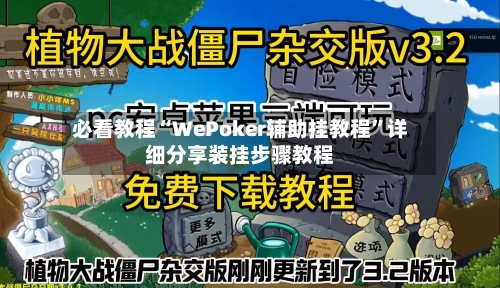 必看教程“WePoker辅助挂教程”详细分享装挂步骤教程-第3张图片