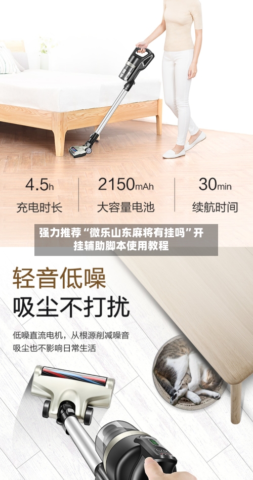 强力推荐“微乐山东麻将有挂吗	”开挂辅助脚本使用教程-第2张图片