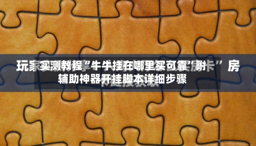 实测教程“牛牛挂在哪里买可靠	”附辅助神器开挂脚本详细步骤-第3张图片