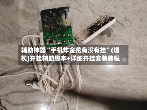 辅助神器“手机炸金花有没有挂”(透视)开挂辅助脚本+详细开挂安装教程-第1张图片