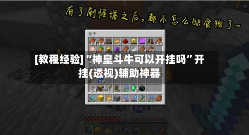 [教程经验]“神皇斗牛可以开挂吗	”开挂(透视)辅助神器-第1张图片
