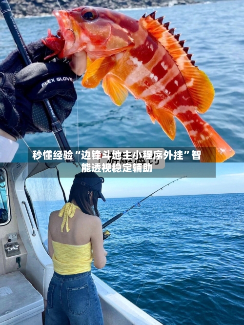 秒懂经验“边锋斗地主小程序外挂”智能透视稳定辅助-第2张图片