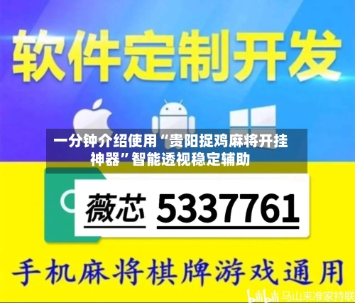 一分钟介绍使用“贵阳捉鸡麻将开挂神器”智能透视稳定辅助-第2张图片
