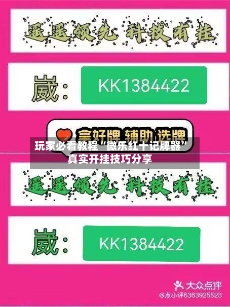 玩家必看教程“微乐红十记牌器	”真实开挂技巧分享-第2张图片