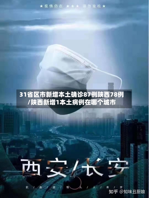 31省区市新增本土确诊87例陕西78例/陕西新增1本土病例在哪个城市-第3张图片