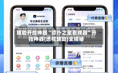 辅助开挂神器“德扑之星看牌器	”开挂神器{透视辅助}全揭秘-第2张图片