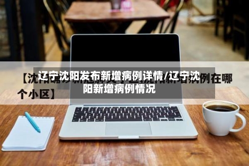 辽宁沈阳发布新增病例详情/辽宁沈阳新增病例情况-第3张图片