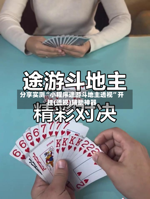 分享实测“小程序途游斗地主透视”开挂(透视)辅助神器-第1张图片
