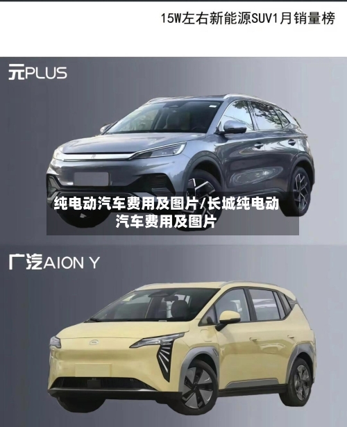 纯电动汽车费用及图片/长城纯电动汽车费用及图片-第2张图片