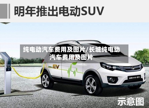 纯电动汽车费用及图片/长城纯电动汽车费用及图片-第3张图片