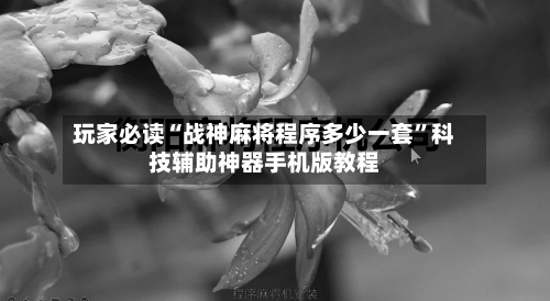 玩家必读“战神麻将程序多少一套	”科技辅助神器手机版教程-第2张图片