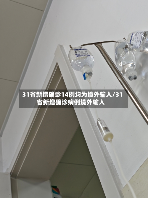 31省新增确诊14例均为境外输入/31省新增确诊病例境外输入-第1张图片