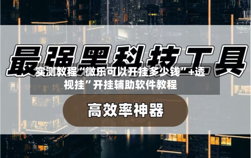 实测教程“微乐可以开挂多少钱”+透视挂”开挂辅助软件教程-第3张图片