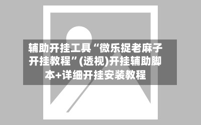 辅助开挂工具“微乐捉老麻子开挂教程	”(透视)开挂辅助脚本+详细开挂安装教程-第3张图片