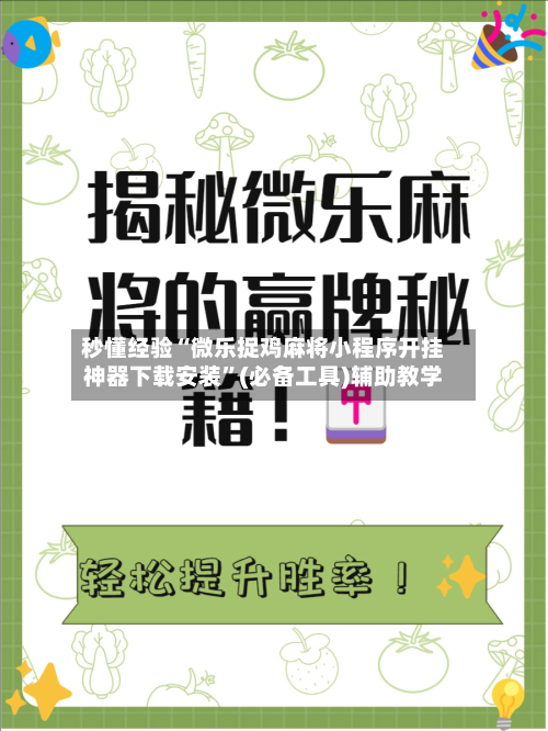 秒懂经验“微乐捉鸡麻将小程序开挂神器下载安装”(必备工具)辅助教学-第2张图片