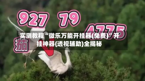 实测教程“微乐万能开挂器(免费)	”开挂神器{透视辅助}全揭秘-第1张图片