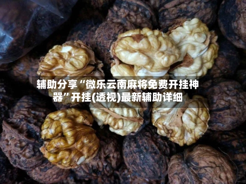 辅助分享“微乐云南麻将免费开挂神器”开挂(透视)最新辅助详细