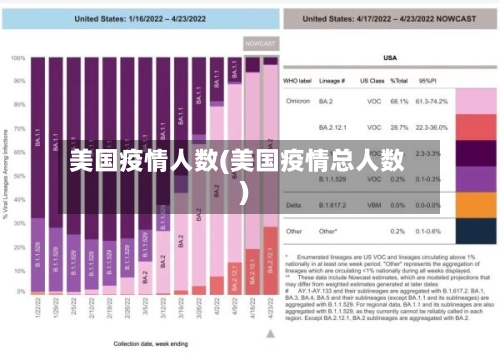 美国疫情人数(美国疫情总人数)-第1张图片