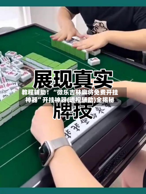 教程辅助！“微乐吉林麻将免费开挂神器	”开挂神器{透视辅助}全揭秘-第3张图片