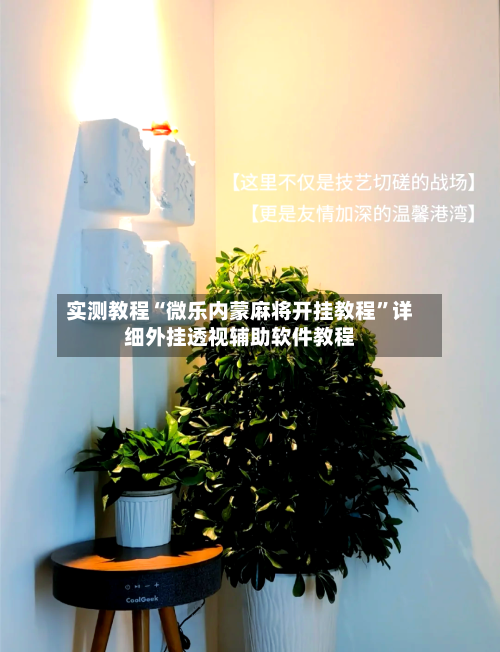 实测教程“微乐内蒙麻将开挂教程	”详细外挂透视辅助软件教程-第2张图片