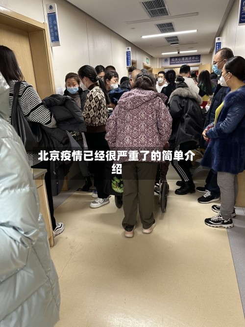 北京疫情已经很严重了的简单介绍-第2张图片