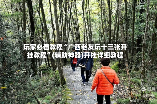 玩家必看教程“广西老友玩十三张开挂教程”(辅助神器)开挂详细教程-第3张图片
