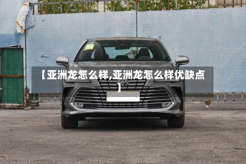 【亚洲龙怎么样,亚洲龙怎么样优缺点】-第2张图片
