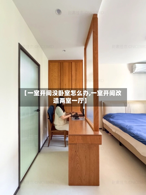 【一室开间没卧室怎么办,一室开间改造两室一厅】-第3张图片