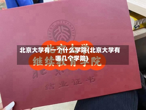 北京大学有一个什么学院(北京大学有哪几个学院)-第2张图片