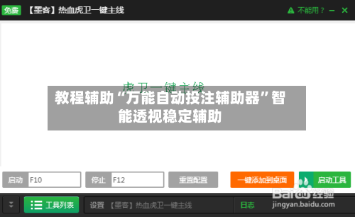 教程辅助“万能自动投注辅助器”智能透视稳定辅助-第2张图片