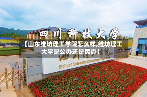 【山东维坊理工学院怎么样,维坊理工大学是公办还是民办】-第2张图片