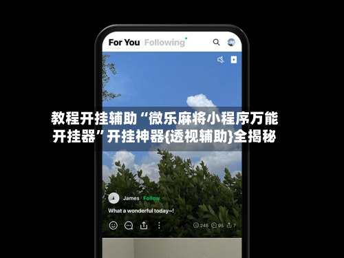 教程开挂辅助“微乐麻将小程序万能开挂器”开挂神器{透视辅助}全揭秘-第3张图片