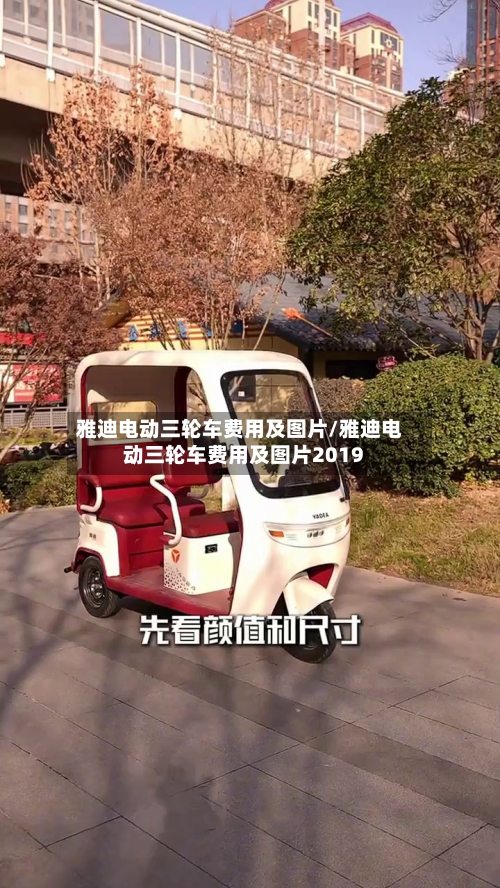 雅迪电动三轮车费用及图片/雅迪电动三轮车费用及图片2019-第2张图片