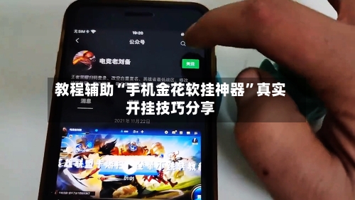 教程辅助“手机金花软挂神器”真实开挂技巧分享-第3张图片