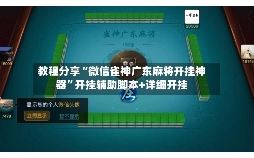 教程分享“微信雀神广东麻将开挂神器”开挂辅助脚本+详细开挂-第3张图片