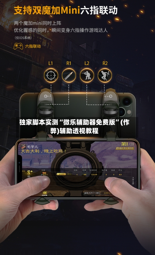 独家脚本实测“微乐辅助器免费版”(作弊)辅助透视教程-第2张图片