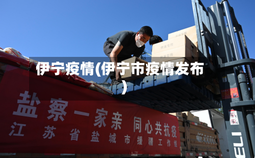 伊宁疫情(伊宁市疫情发布)-第3张图片
