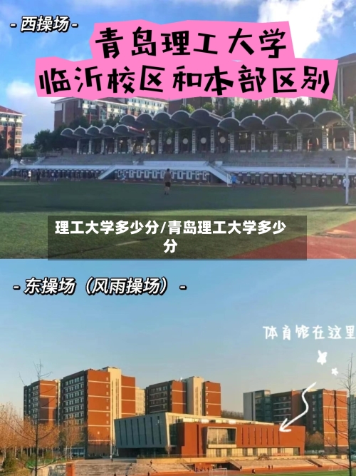 理工大学多少分/青岛理工大学多少分-第3张图片