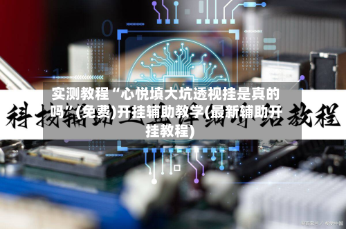 实测教程“心悦填大坑透视挂是真的吗”(免费)开挂辅助教学(最新辅助开挂教程)-第2张图片